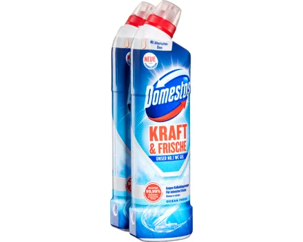 Domestos Kraft & Frische WC-Gel Ocean Fresh