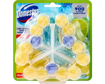 Domestos Power 5 WC-Steine Limette