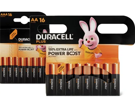 Duracell Plus Batterien AA oder AAA