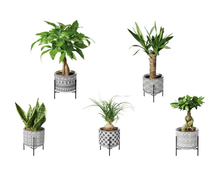 Easy Care in Black & White Keramik