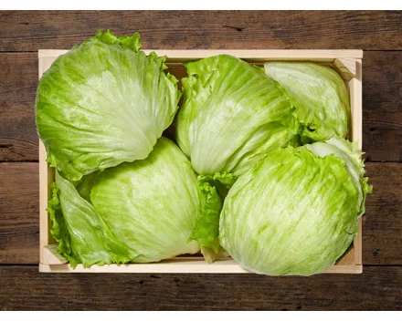 Eisbergsalat