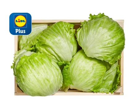 Eisbergsalat