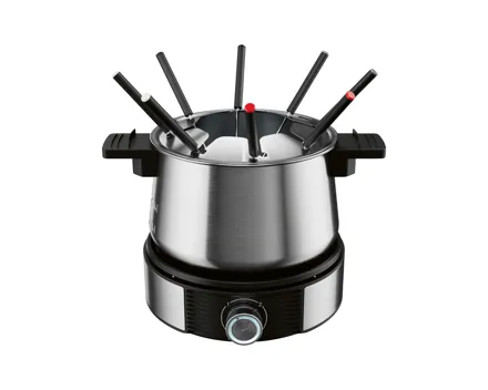 Elektrisches Fondue