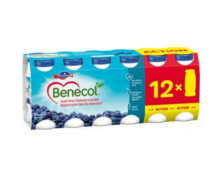 Emmi Benecol Heidelbeer 12x65ml