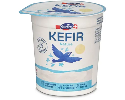 Emmi Kefir Natur