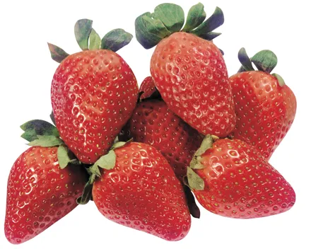 Erdbeeren