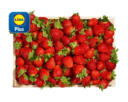 Erdbeeren