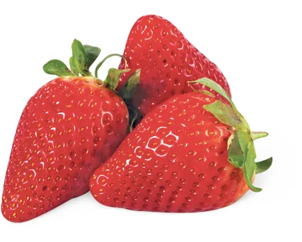 Erdbeeren