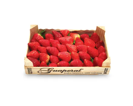 Erdbeeren Premium
