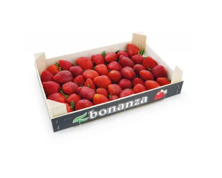 Erdbeeren Premium