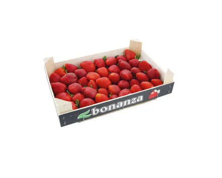 Erdbeeren Premium