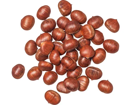 Esskastanien