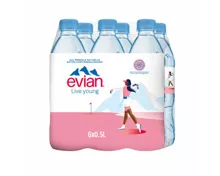 Evian Mineralwasser ohne Kohlensäure 6x50cl