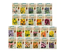 Exklusive Blumenzwiebeln Herbst