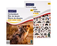EXPERTIZ DE Schulhefte A4