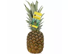 Fairtrade Ananas extrasüss 1 Stück