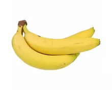 Fairtrade Bananen ca. 1kg