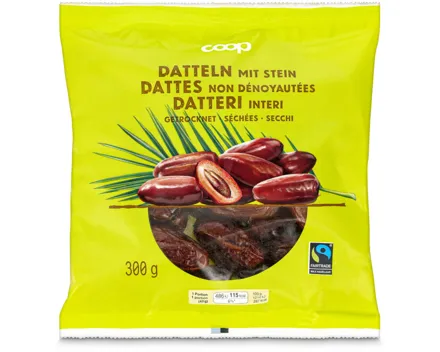 Fairtrade Datteln getrocknet mit Stein