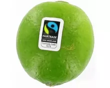 Fairtrade Limette 1 Stück