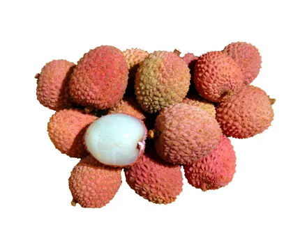 Fairtrade Litschis 500g