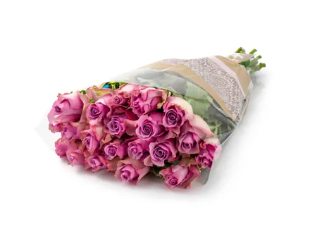 Fairtrade Rosen rosa