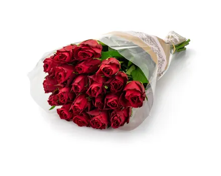 Fairtrade Rosen rot