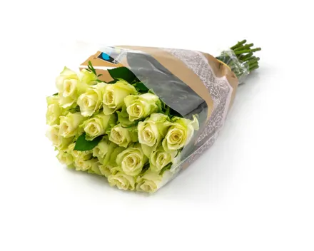 Fairtrade Rosen weiss