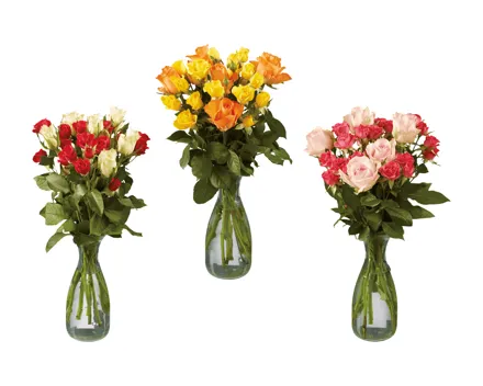 Fairtrade Spray-Rosen