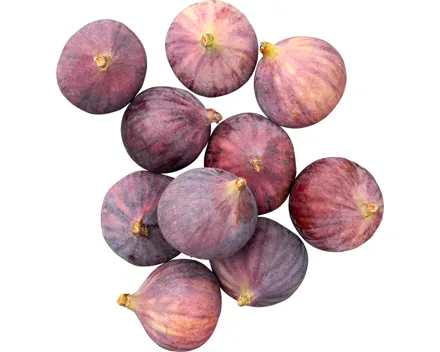 Feigen