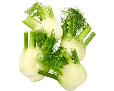 Fenchel