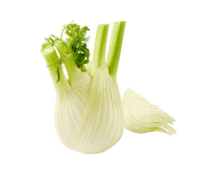 Fenchel