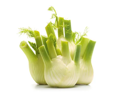 Fenchel ca. 500g
