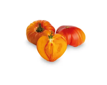 Feuertomaten