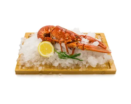 Fine Food Hummer gekocht MSC