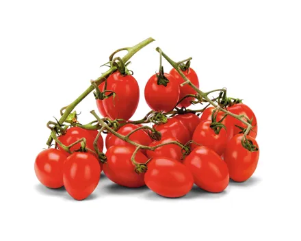 Fine Food Tomaten Red Desire