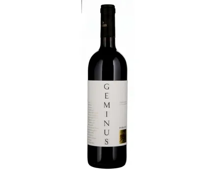 Fine Food Toscana IGT Geminus Teruzzi (2021) – Rotwein, Italien (0.75l)