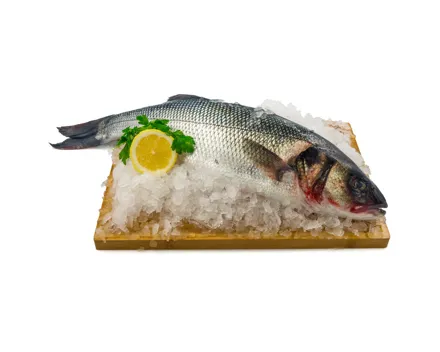 Fine Food Wolfsbarsch