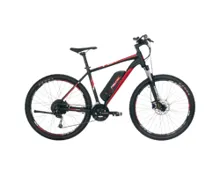 FISCHER E-Mountainbike Montis EM 1726, 48 cm