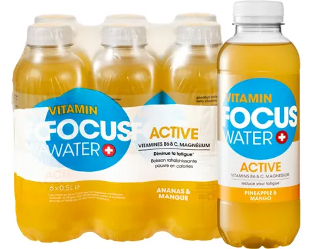 Focus Water Active Ananas & Mango