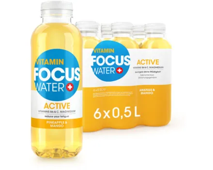 Focuswater Active Ananas & Mango 6x50cl