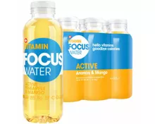 FOCUSWATER Active Ananas & Mango 6x50cl