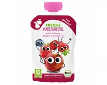 Freche Freunde Bio Quetschbeutel Apfel Erdbeere Kirsche Blaubeere Himbeere 6+ Monate