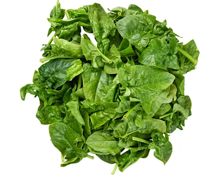 Frischer Spinat