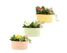 Frühlingsarrangement