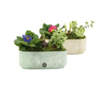 Frühlingsarrngement Beton