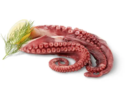 Fruits de mer Pulpo-Tentakel