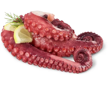 Fruits de Mer Pulpo-Tentakel
