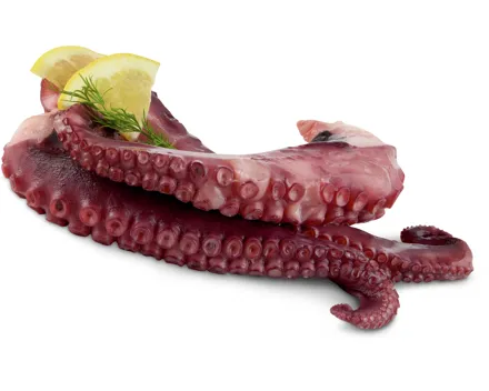 Fruits de Mer Pulpo-Tentakel