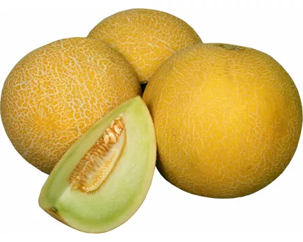 Galia-Melonen