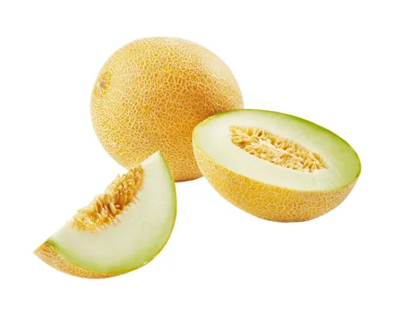 Galiamelone